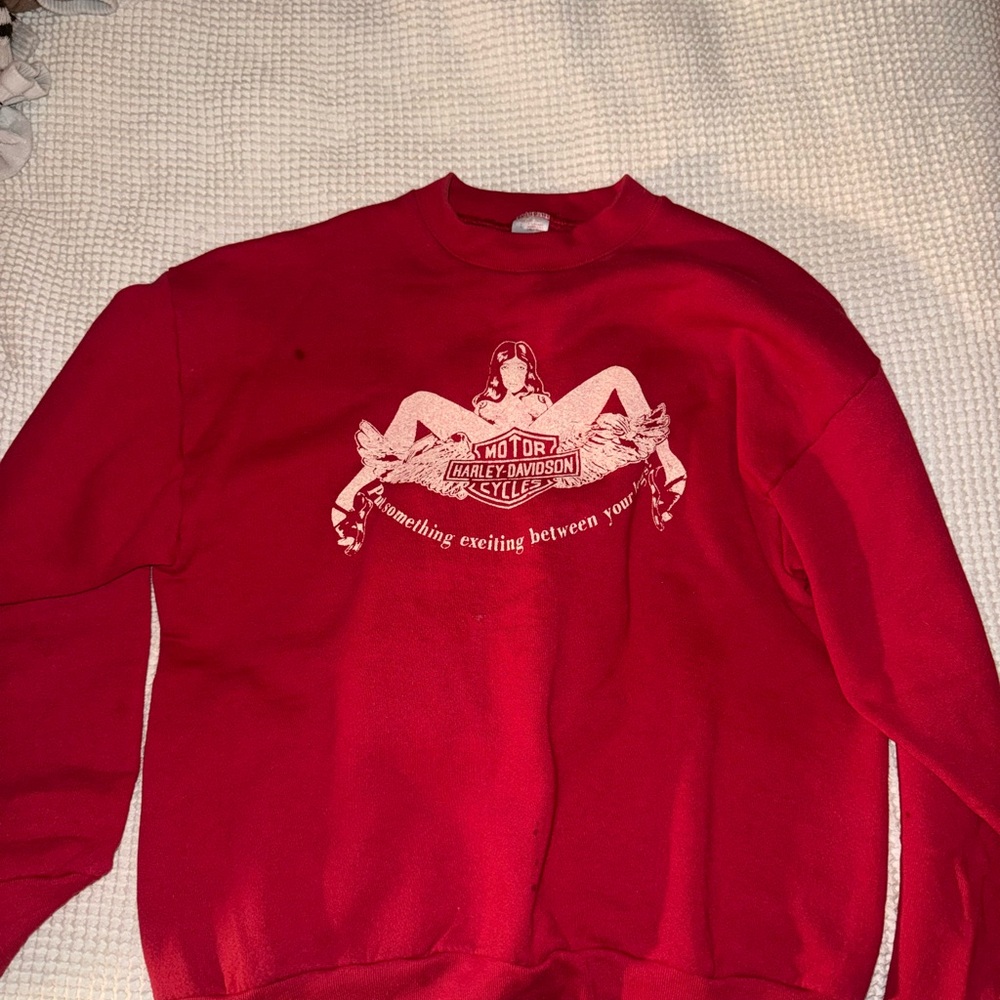 Authentic 1970s Harley Davidson Sweatshirt (Women’s L) - Picture 5 of 6